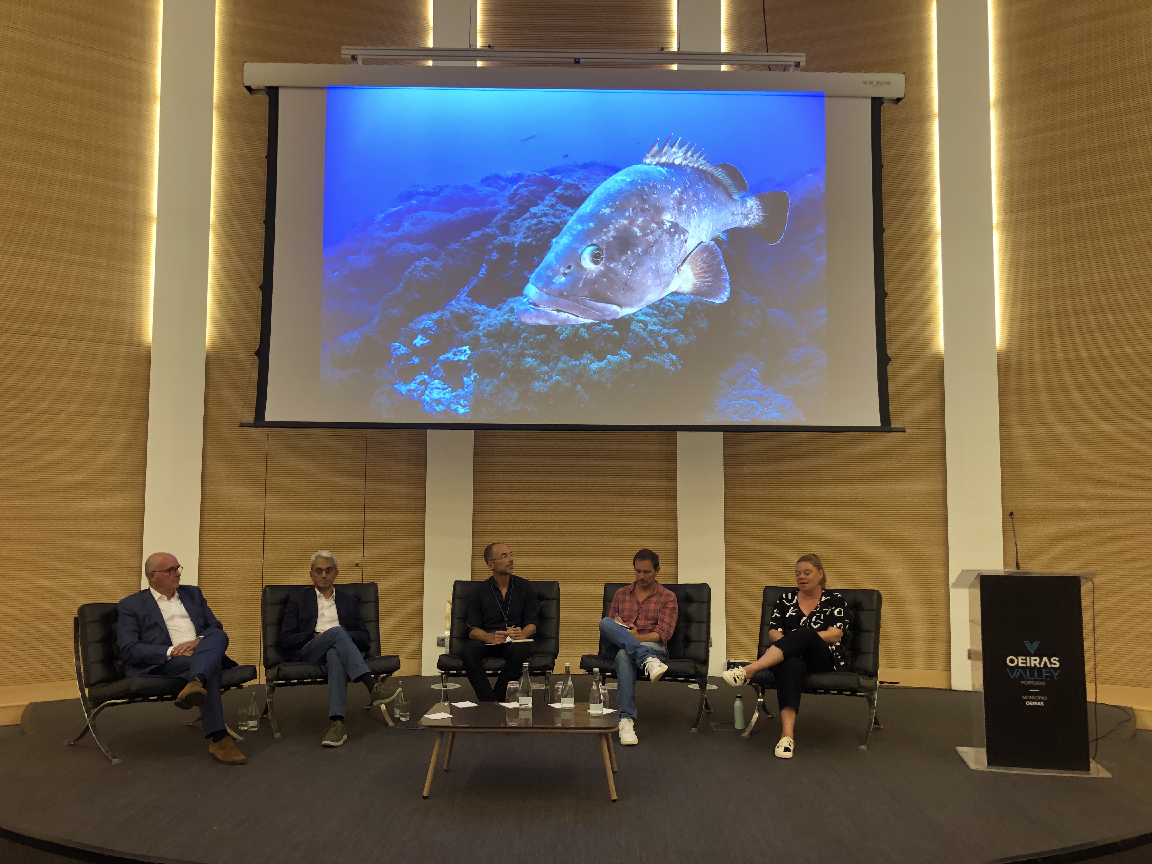▴ Opening Ceremony: Conversation with Manuel Pinto de Abreu, Jorge Barreto Xavier, Nuno Vasco Rodrigues and Capicua moderated by Frederico Duarte