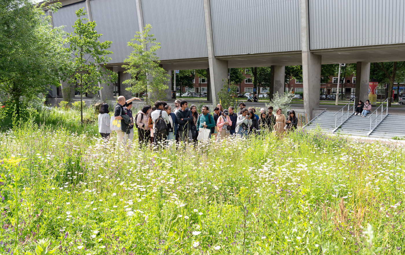 ▴ Photos by Jan Bruin