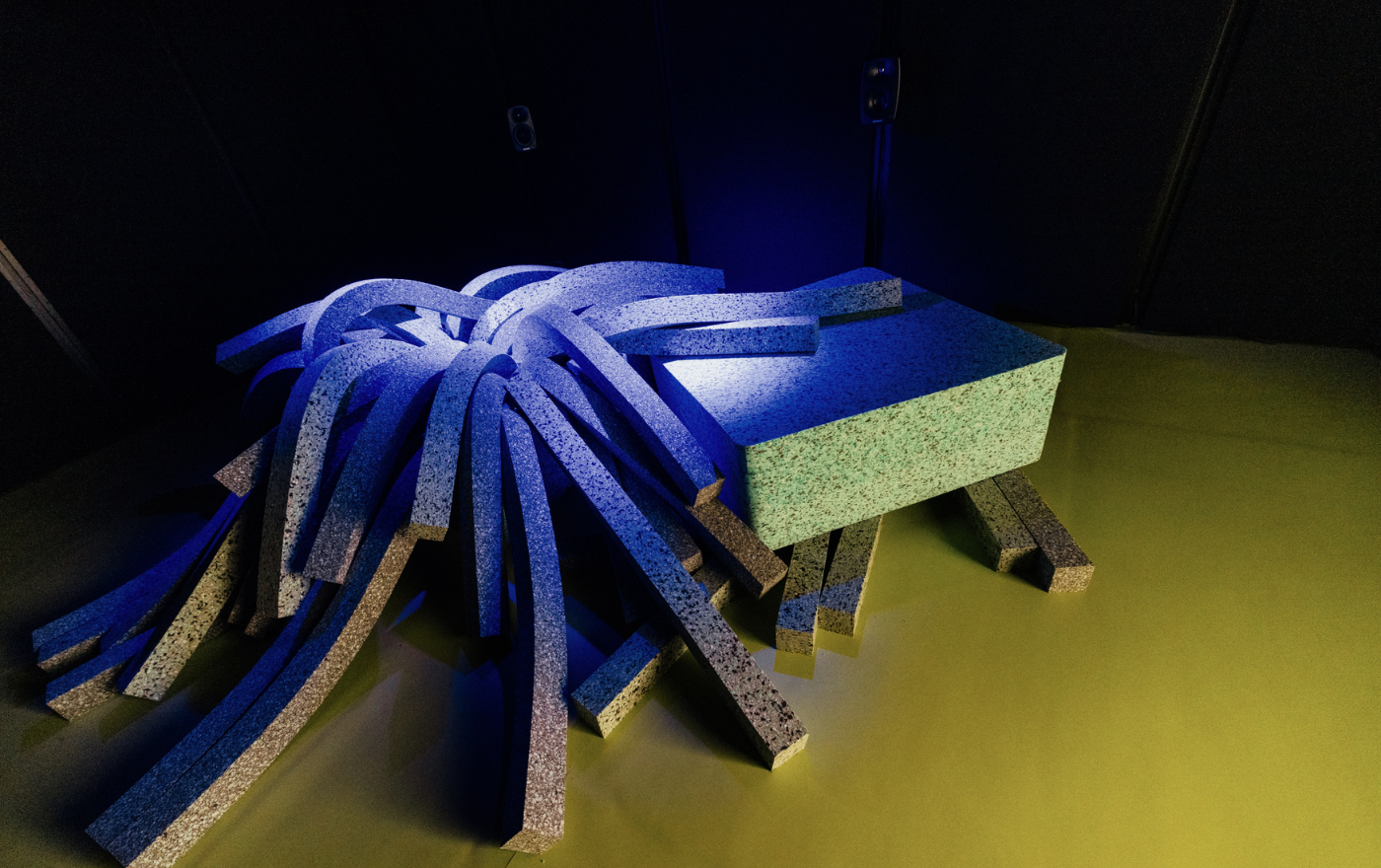 ▴ Photographs by Pedro Pina, courtesy of Calouste Gulbenkian Foundation, 2025.
