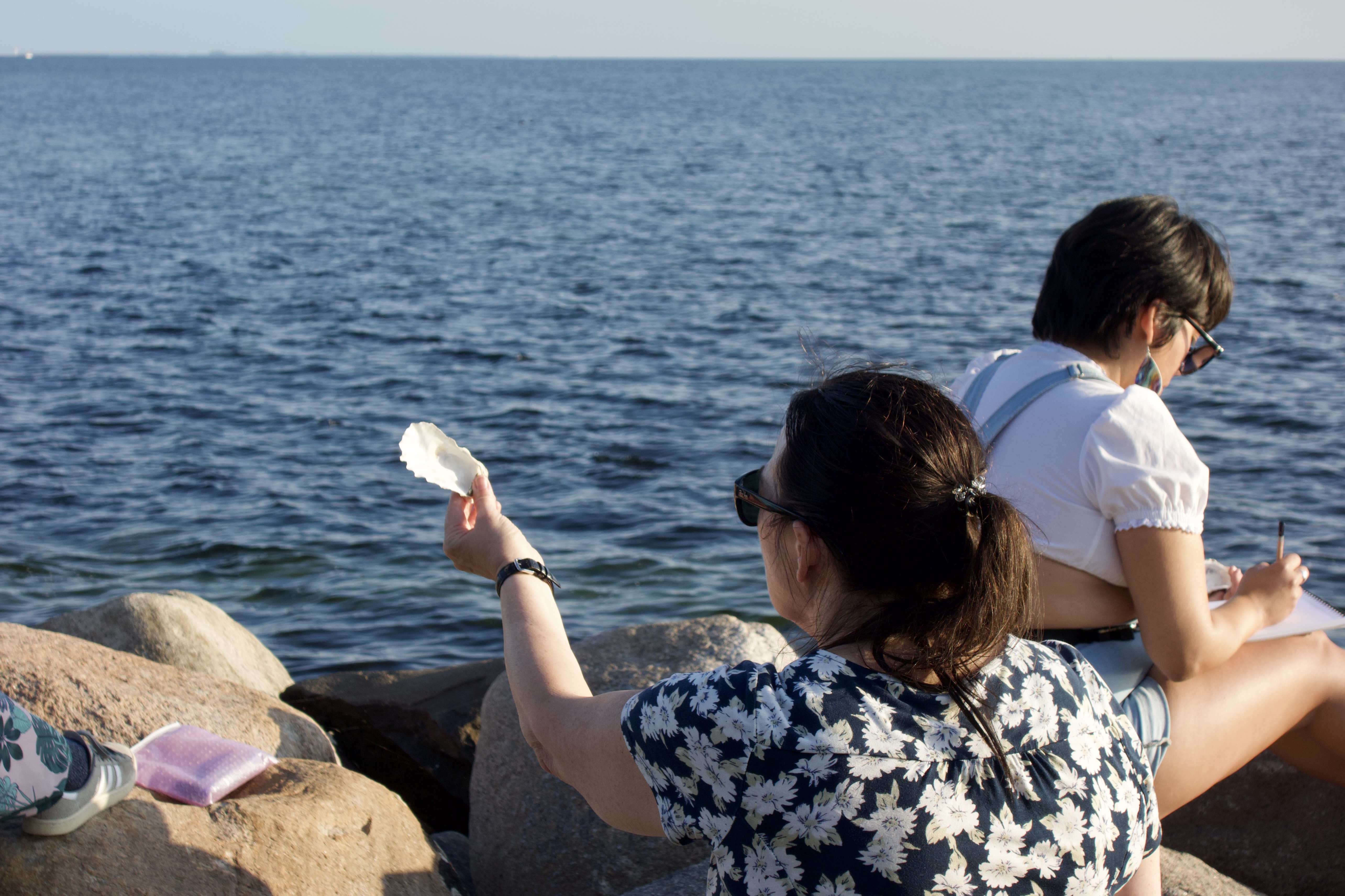 ▴ Creators Club for the Sea, Malmö, Summer 2024 (2) © Ellen Bjerborn.
