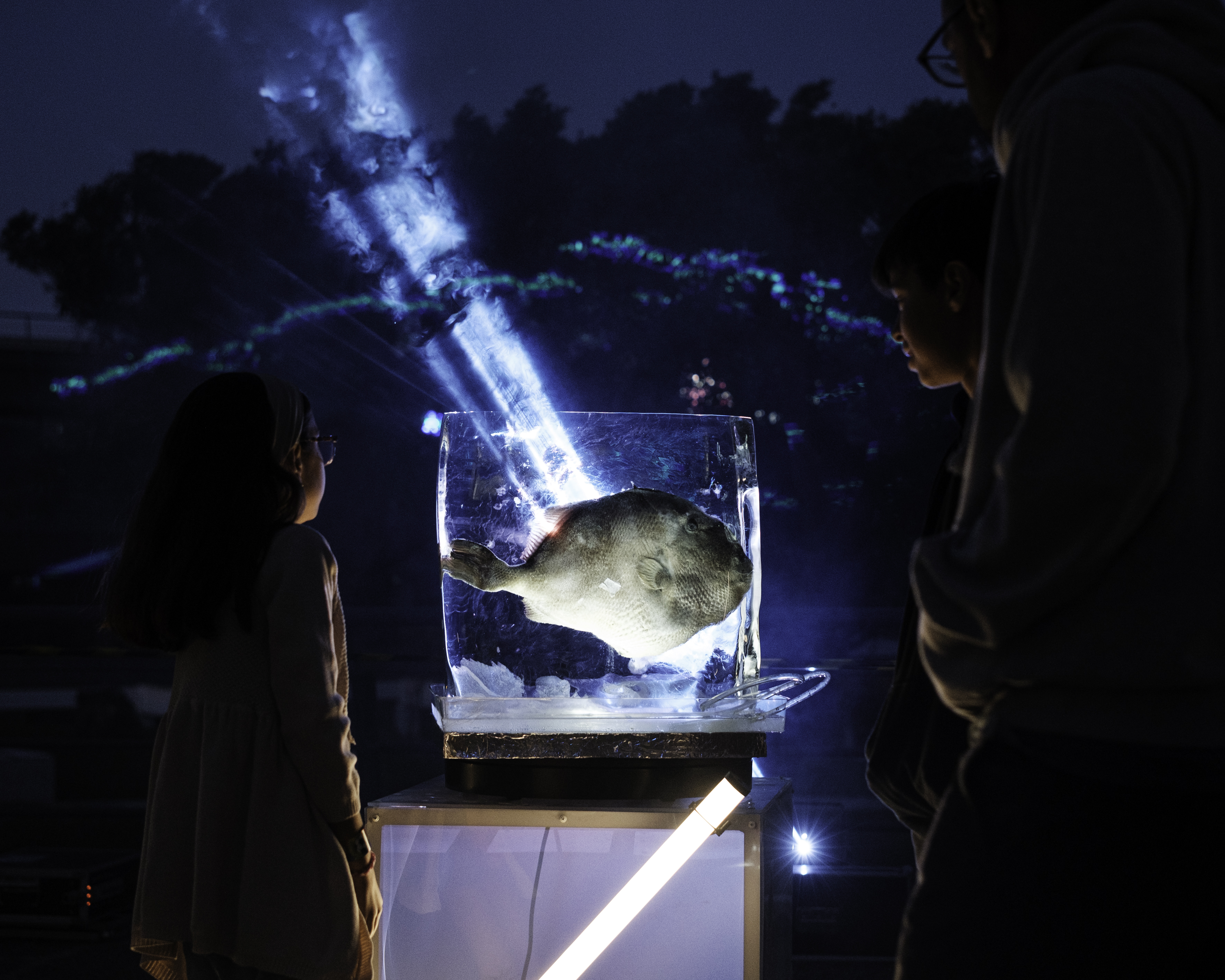 ▴ Underwater Ecotones Time Capsules Event, Oeiras 2025 © Maria Olívia.